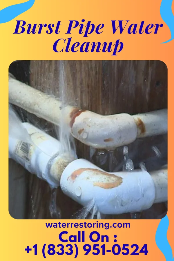 Burst Pipe Water Cleanup in Woodlawn, OH