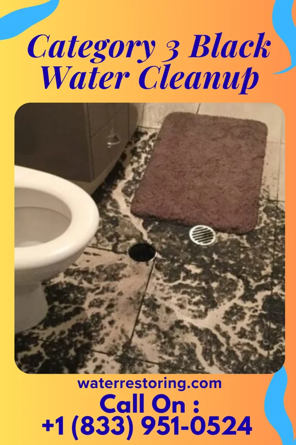 Category 3 Black Water Cleanup in Woodlawn, OH