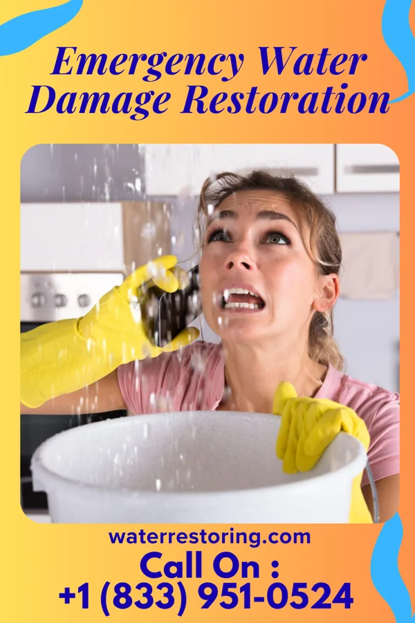 Emergency Water Damage Restoration in Woodlawn, OH