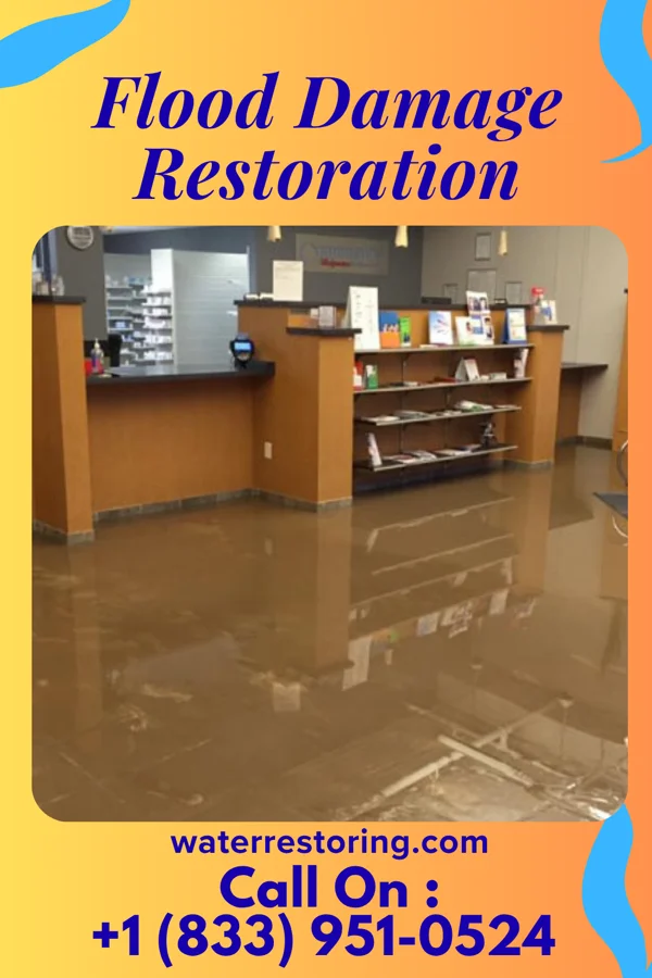 Flood Damage Restoration in Woodlawn, OH
