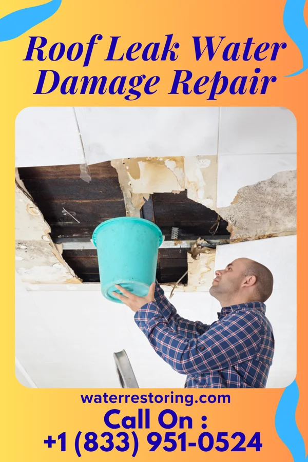 Roof Leak Water Damage Repair in Woodlawn, OH
