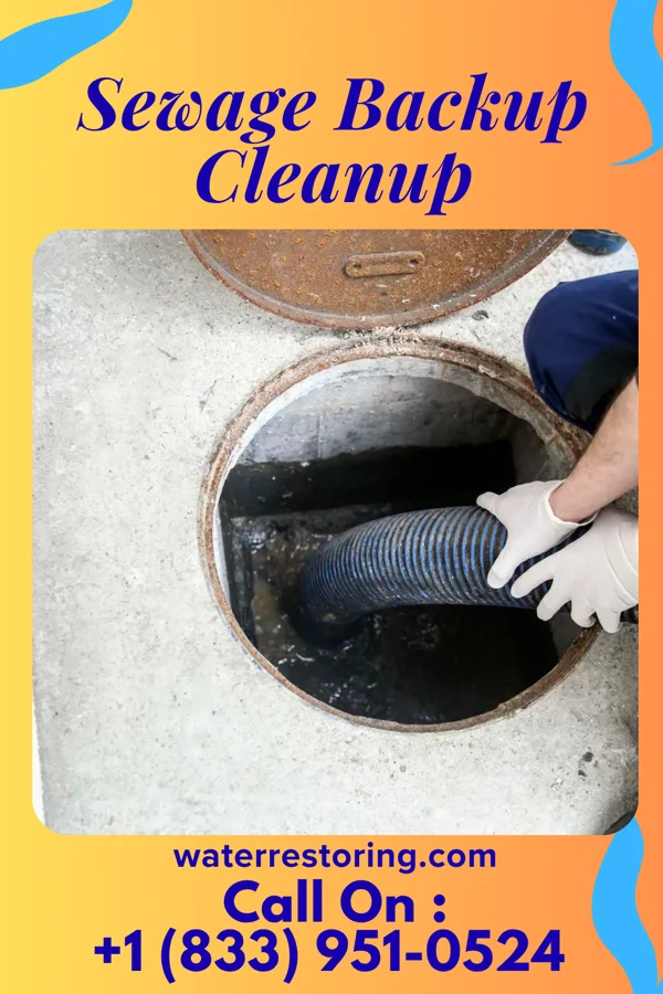 Sewage Backup Cleanup in Woodlawn, OH