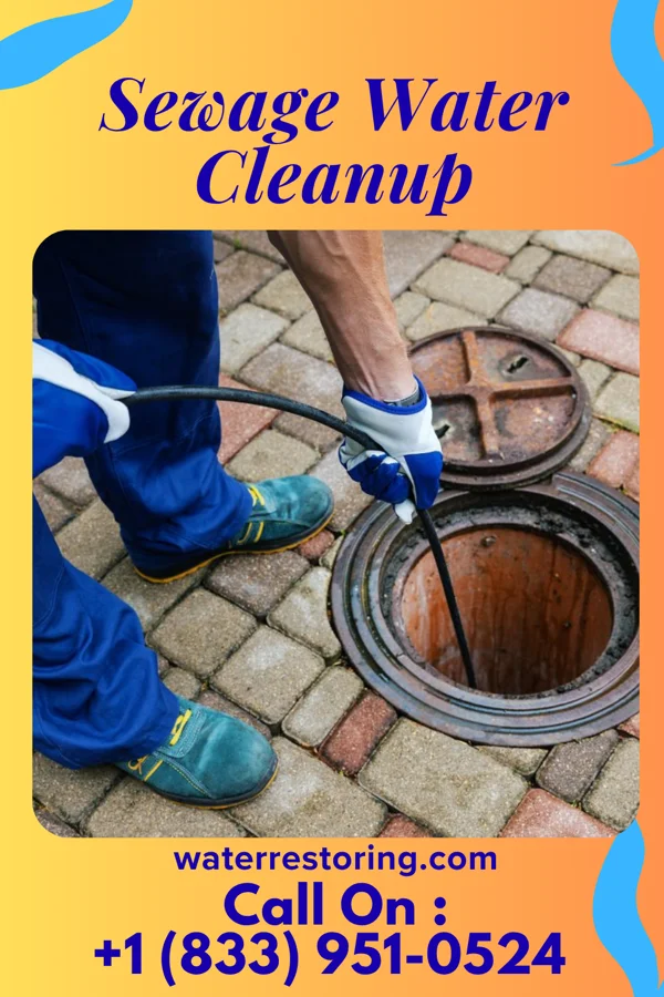 Sewage Water Cleanup in Woodlawn, OH
