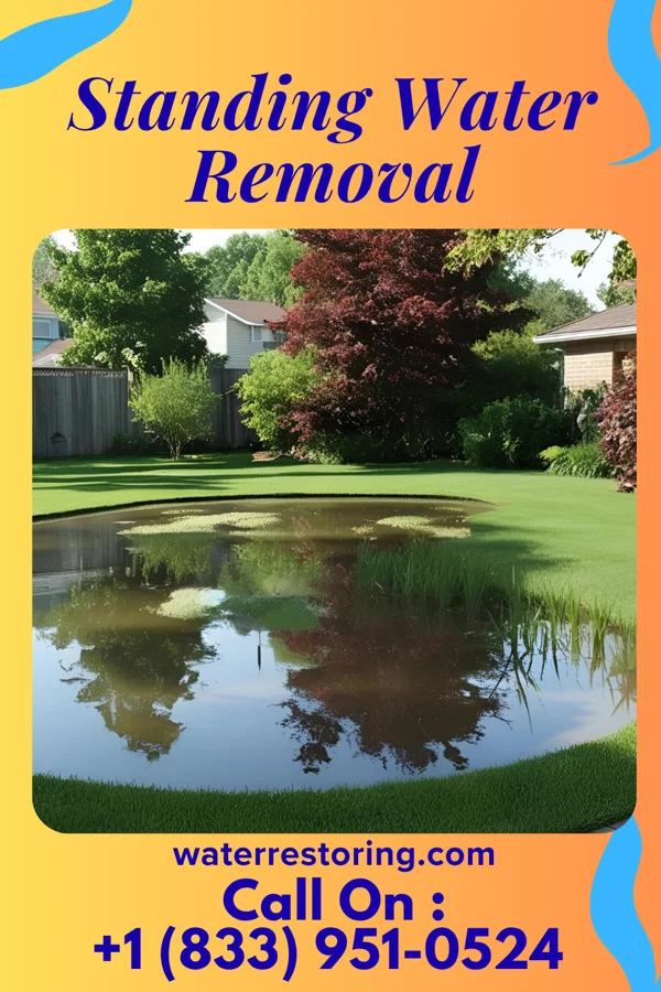 Standing Water Removal in Woodlawn, OH
